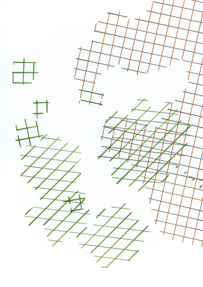 Mitra. Kugeliger Frauenmantel, Archemilla subglobosa, August 2021, 295 x 210 mm, Pitt Artist Pen brush auf 160g Papier, Foto © Sabina Hörtner